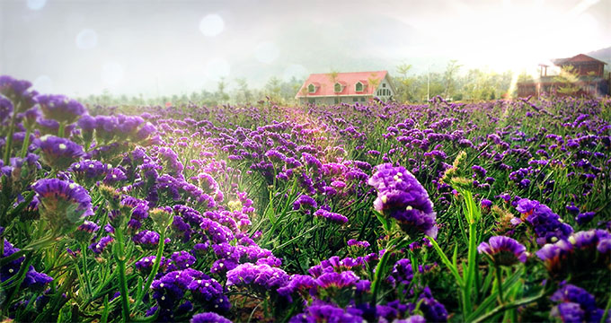 AD0Ix87vBhAEGAAg1My_zQUom77G9QIwqAU46AI