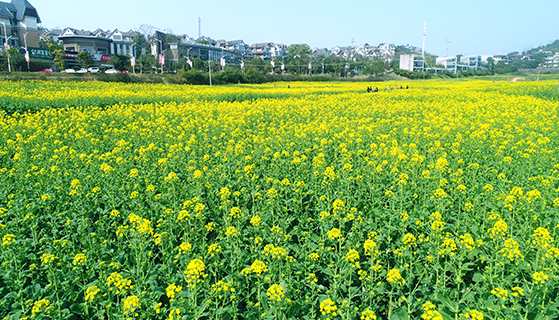 AD0ImeDxBBAEGAAg0q_fvgUoqOiIzwIwrwQ4wAI